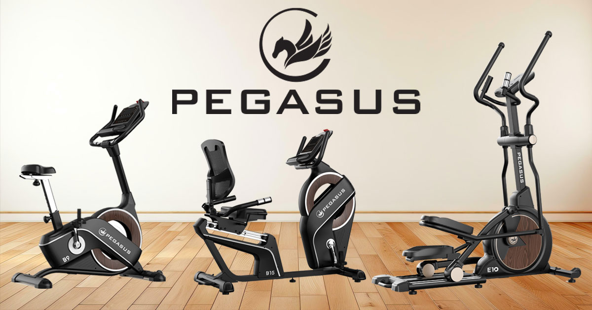 Pegasus Όργανα Γυμναστικής
