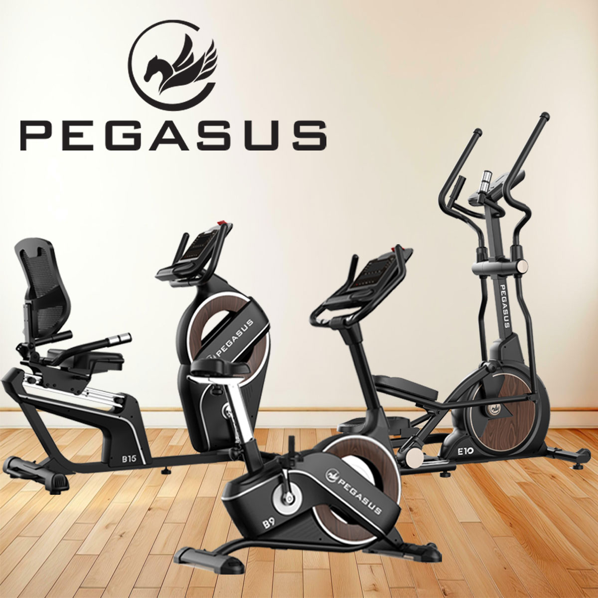 Pegasus Όργανα Γυμναστικής