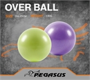 Pegasus® Μπάλα Γυμναστικής Pilates 25cm (Πράσινο)
