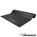 Pegasus® Protective Floor Mat (Treadmills) 