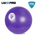 Core Fit Gym Ball 55 cm