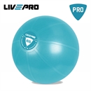 Core Fit Gym Ball 65 cm