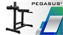 Πάγκος ραχιαίων Pegasus® HCLT-5006