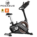 Pegasus® B9 Upright Bike