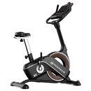 Pegasus® B9 Upright Bike