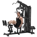 Pegasus® MS-130 Home Gym