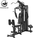 Pegasus® MS-130 Home Gym