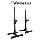 Pegasus® Adjustable Weight Stands OK0043B