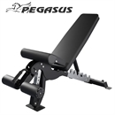 Pegasus® Adjustable Multi-Bench OK9101C