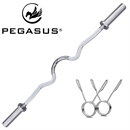 Pegasus Olympic Super Curl Bar 1200mm*28mm (10kg)