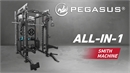 Pegasus® PG-2000 All-In-One Trainer