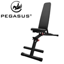 Pegasus® Αναδιπλούμενος Πάγκος FB3i (QJ30)