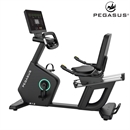 Καθιστό Ποδήλατο Pegasus® R12