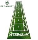 Pegasus® Synthetic Turf 2x11m (3159)