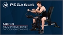 Pegasus® Adjustable Bench MB10