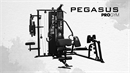 Pegasus® 3-Station Pro Gym MT-18504-ABC