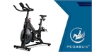 Pegasus® Magnetic Spin Bike "Speed"