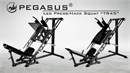 Pegasus® Leg Press/Hack Squat 45º  TR45