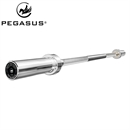 Pegasus® - Olympic Barbell 1500mm*28mm (13kg)