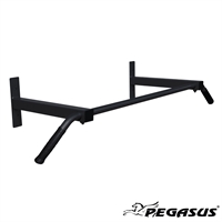 Pegasus® Wall-Mounted Bar (120cm)