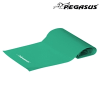 Pegasus® Resistance Band (Medium)