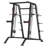 Insight fitness Smith Machine