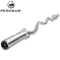 Ολυμπιακή Στραβόμπαρα 1200mm*28mm (9.7kg)