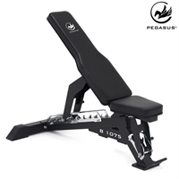 Pegasus® Adjustable Bench B1075