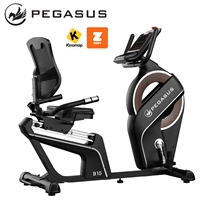 Pegasus® B15 Recumbent Bike