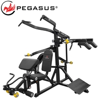 Pegasus® 3-Person Multi-Gym PG-167