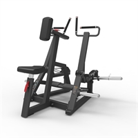 Pegasus® Seated Row