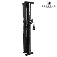 Functional Trainer Τοίχου Pegasus® T-SC01
