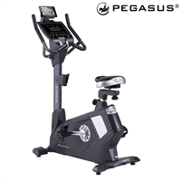 Ποδήλατο Pegasus® B11