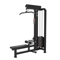 Pegasus® Lat Machine/ Low Row