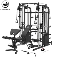 Pegasus® MF10 All‑in‑One Trainer with Bench
