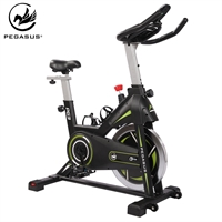 Pegasus® Magnetic Spin Bike PG3