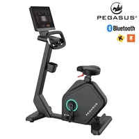 Στατικό Ποδήλατο Pegasus® B12