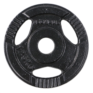 Metal Weight Plate Ø29 (1.25kg)