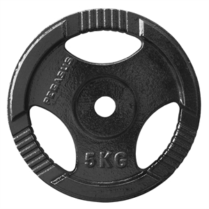 Metal Weight Plate Ø29 (5.0kg)