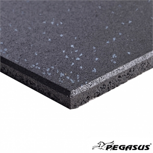 Rubber Gym Mat Pegasus® with Flecks (100x100x1.5 cm)
