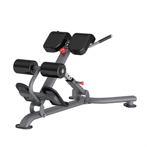 Insight fitness Πάγκος Ραχιαίων