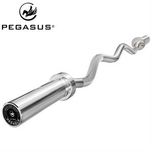 Olympic Curl Bar 1200mm*28mm (9.7kg)