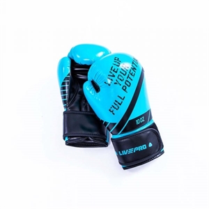 LivePro Boxing Gloves 10oz