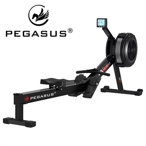 Pegasus® Air Rower AR3