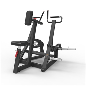 Pegasus® Seated Row