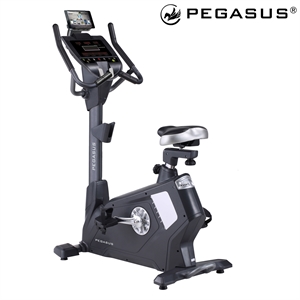 Ποδήλατο Pegasus® B11