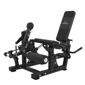 Pegasus® Leg Extension/Lying Leg Curl