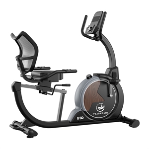 Pegasus® B10 Recumbent Bike