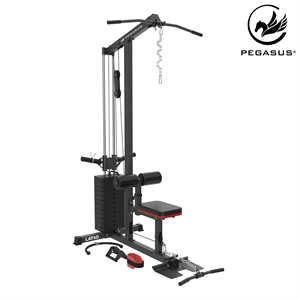 Pegasus® Τροχαλία Πλάτης LAT-60