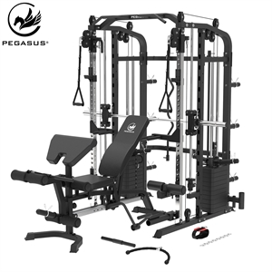 Pegasus® MF10 All‑in‑One Trainer with Bench